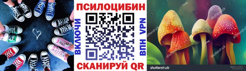 купить сайты Кораблино Псилоцибиновые грибы мицелий
